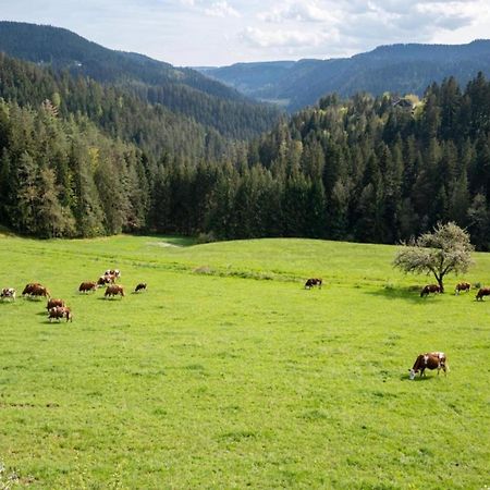 Lovely Apartment In The Black Forest フィリンゲン・シュヴェニンゲン エクステリア 写真