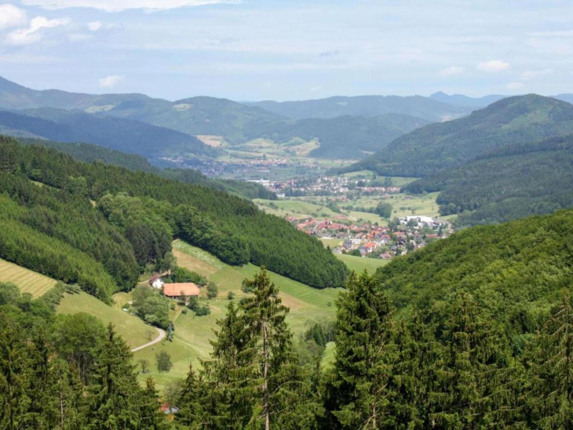 Lovely Apartment In The Black Forest フィリンゲン・シュヴェニンゲン エクステリア 写真