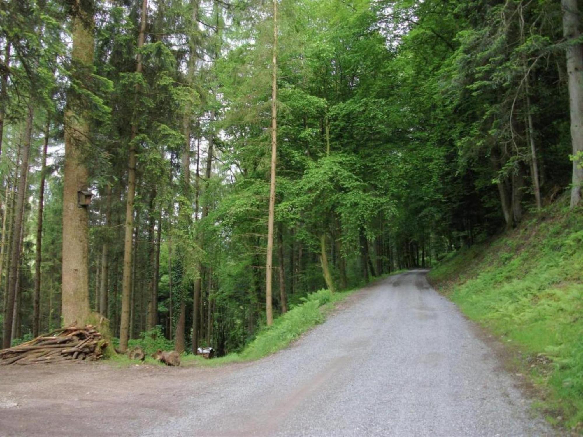 Lovely Apartment In The Black Forest フィリンゲン・シュヴェニンゲン エクステリア 写真