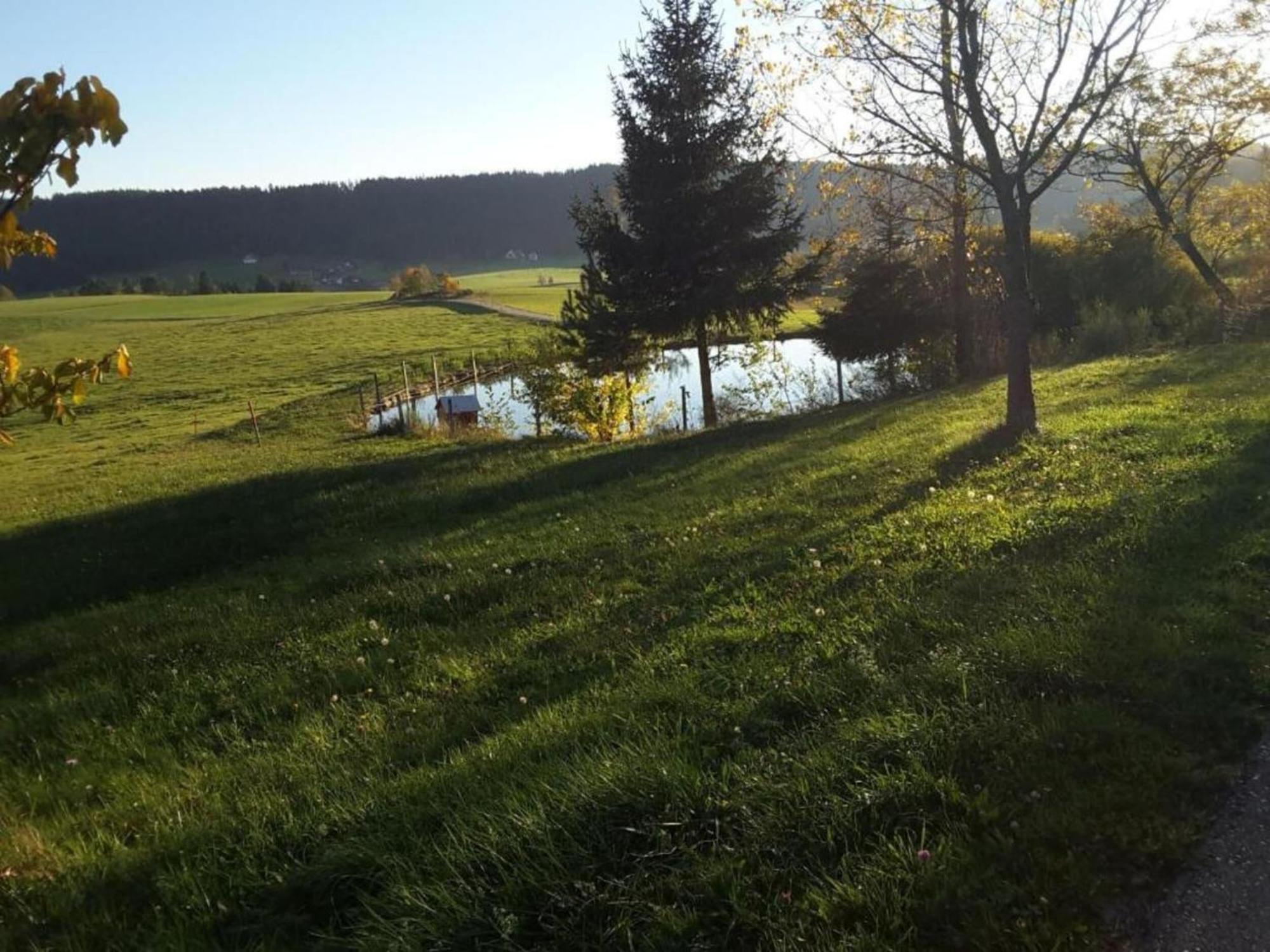 Lovely Apartment In The Black Forest フィリンゲン・シュヴェニンゲン エクステリア 写真