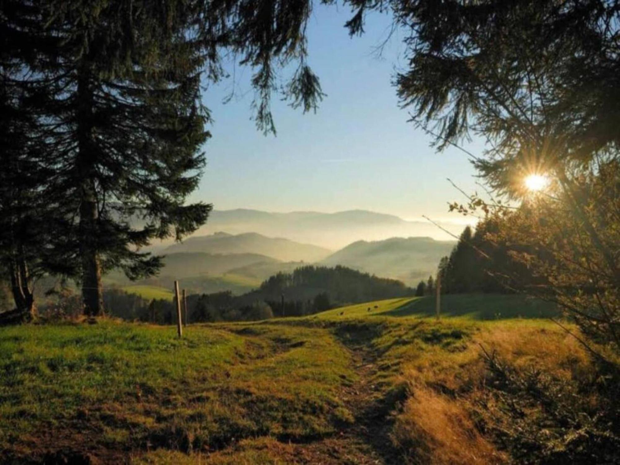 Lovely Apartment In The Black Forest フィリンゲン・シュヴェニンゲン エクステリア 写真