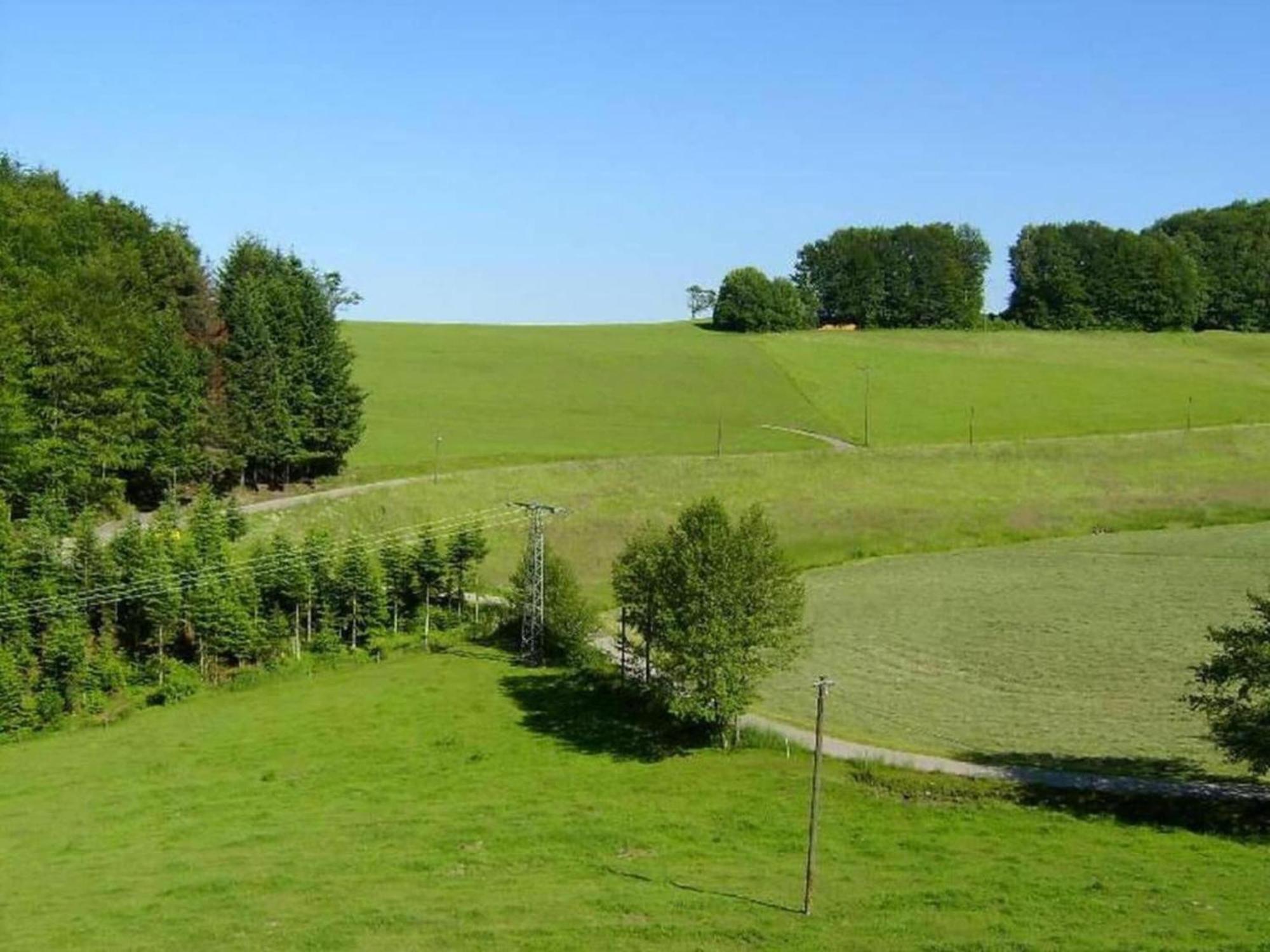 Lovely Apartment In The Black Forest フィリンゲン・シュヴェニンゲン エクステリア 写真