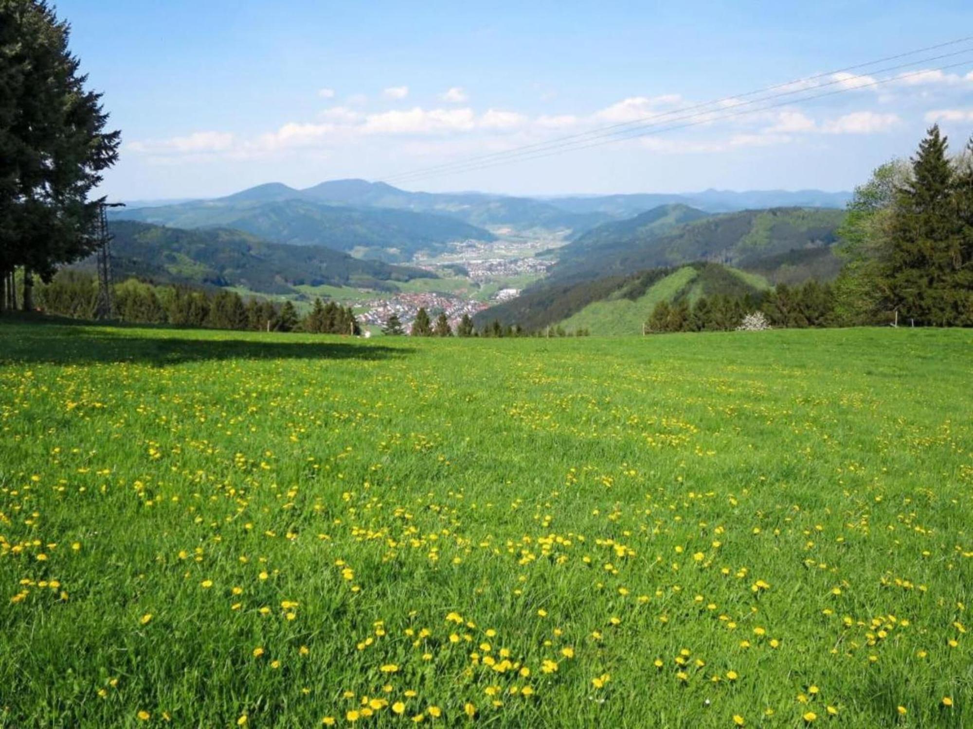 Lovely Apartment In The Black Forest フィリンゲン・シュヴェニンゲン エクステリア 写真