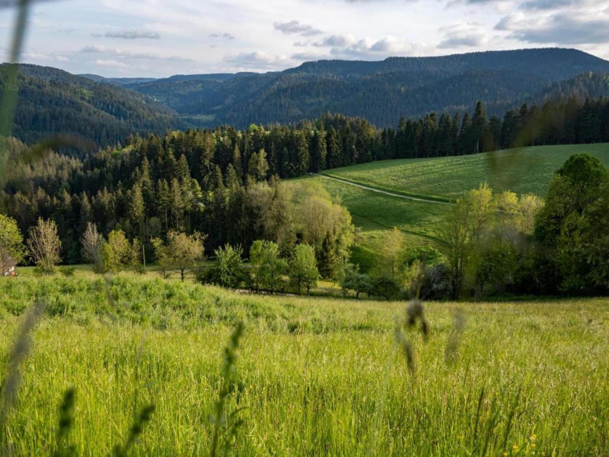 Lovely Apartment In The Black Forest フィリンゲン・シュヴェニンゲン エクステリア 写真