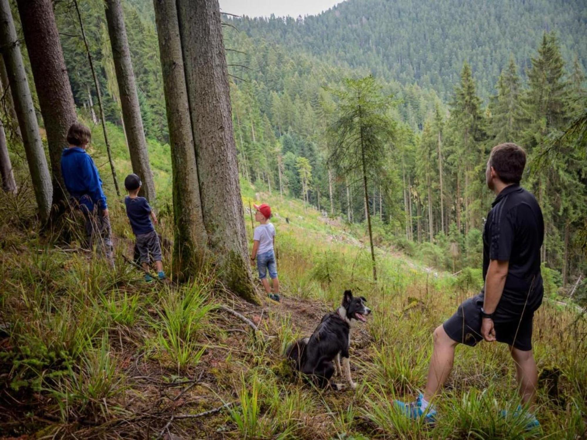 Lovely Apartment In The Black Forest フィリンゲン・シュヴェニンゲン エクステリア 写真