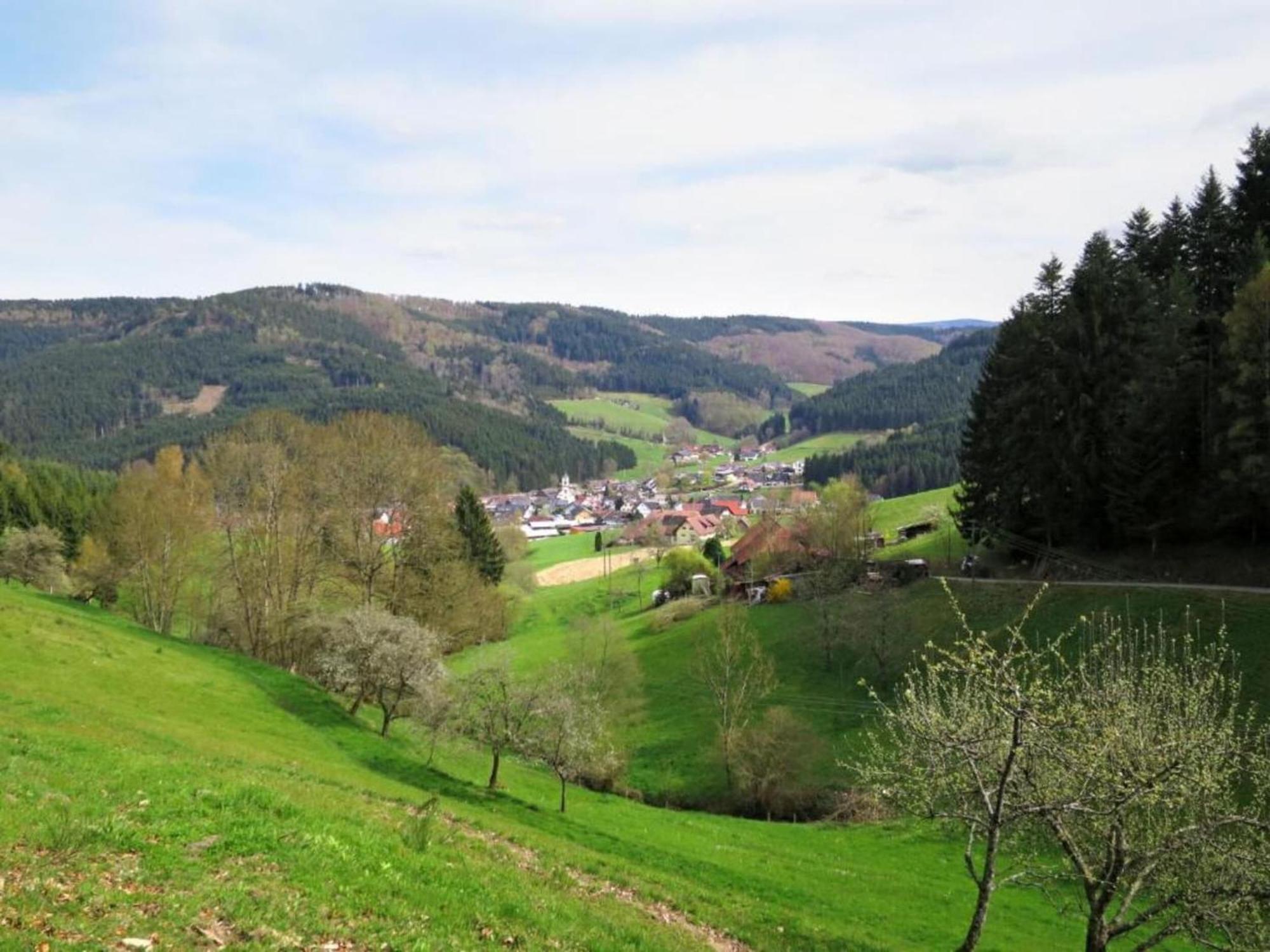 Lovely Apartment In The Black Forest フィリンゲン・シュヴェニンゲン エクステリア 写真