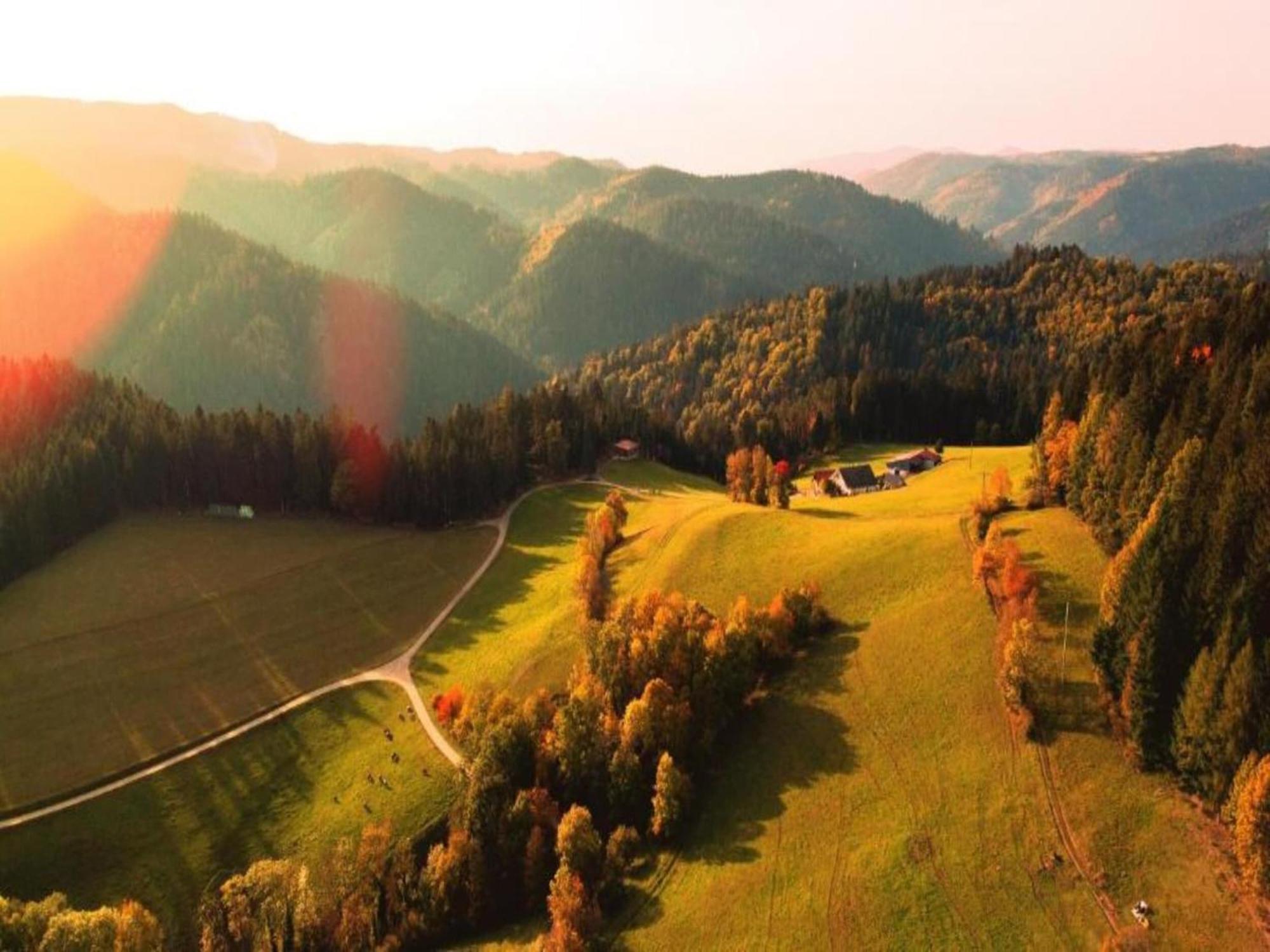 Lovely Apartment In The Black Forest フィリンゲン・シュヴェニンゲン エクステリア 写真