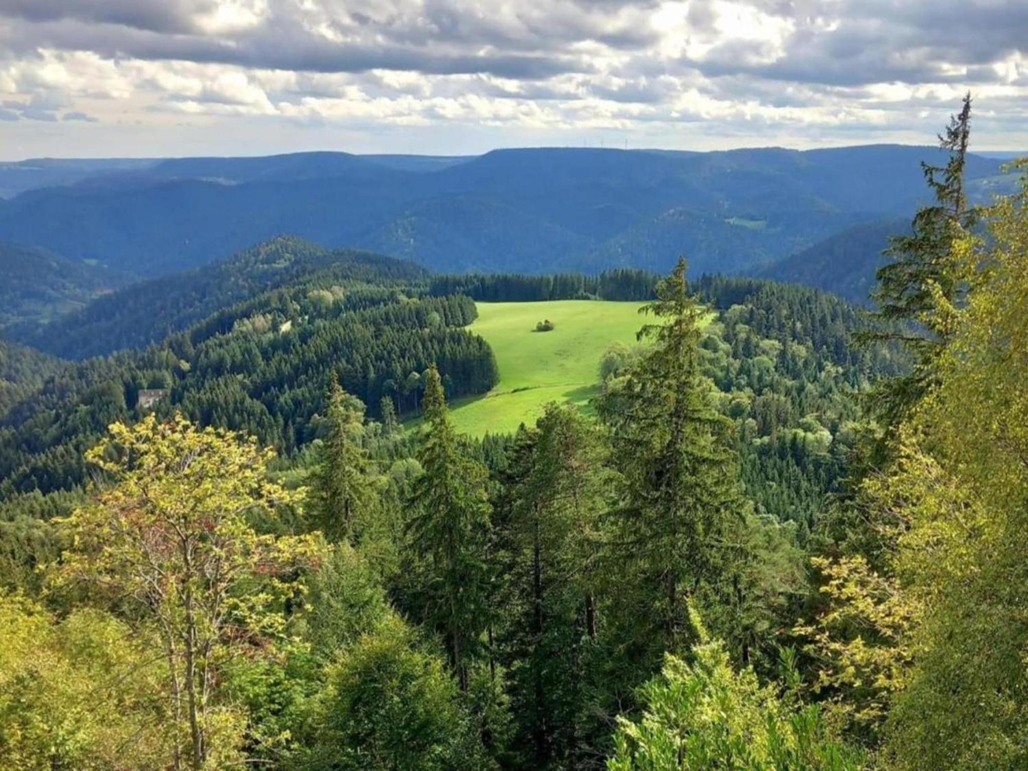 Lovely Apartment In The Black Forest フィリンゲン・シュヴェニンゲン エクステリア 写真